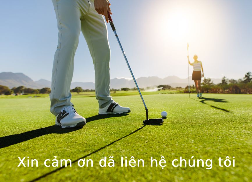 Tư vấn